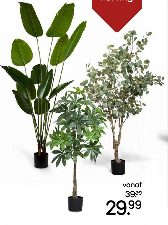 Grote kunstplant