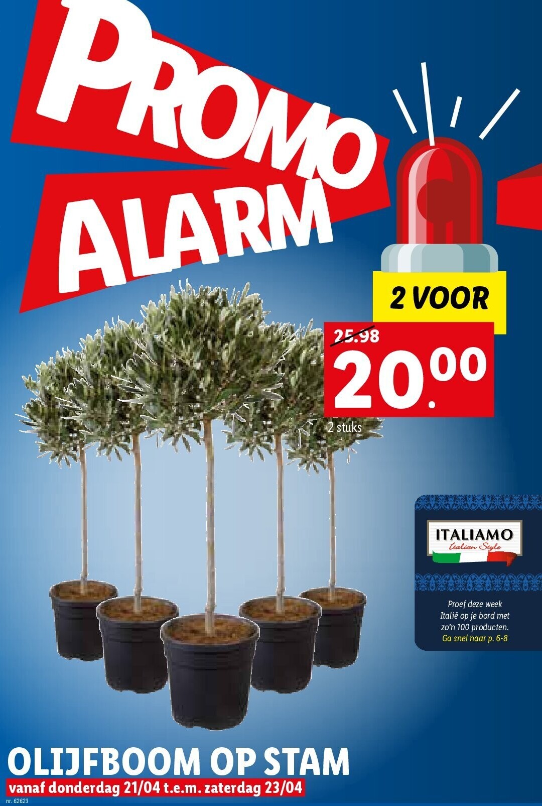 OLIJFBOOM OP STAM