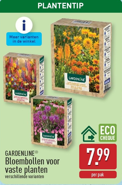 Bloembollen voor vasteplanten