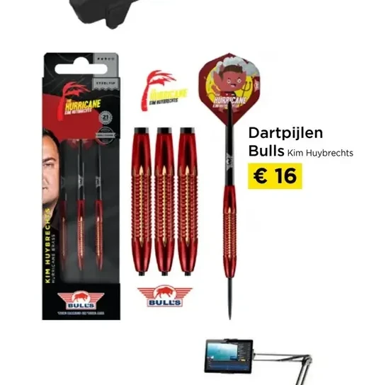 Dartpijlen Bulls Kim Huybrechts