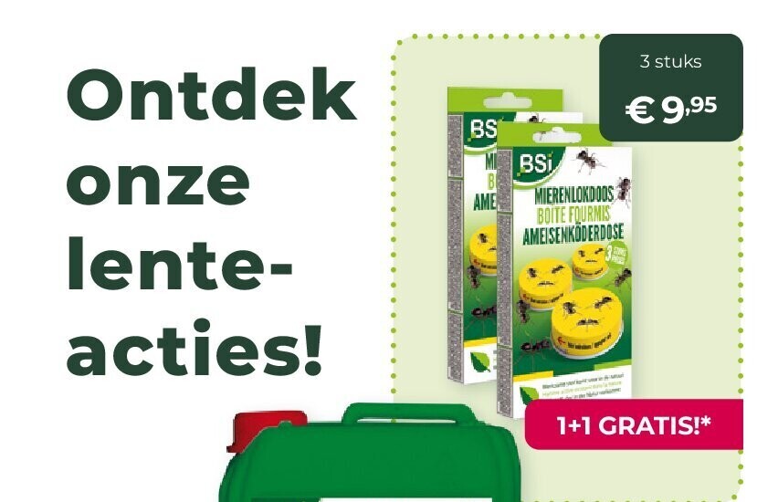 Mierenlokdoos Boite Fourmis Ameisenkoderdose