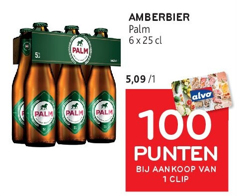 AMBERBIER Palm 6 x 25 cl