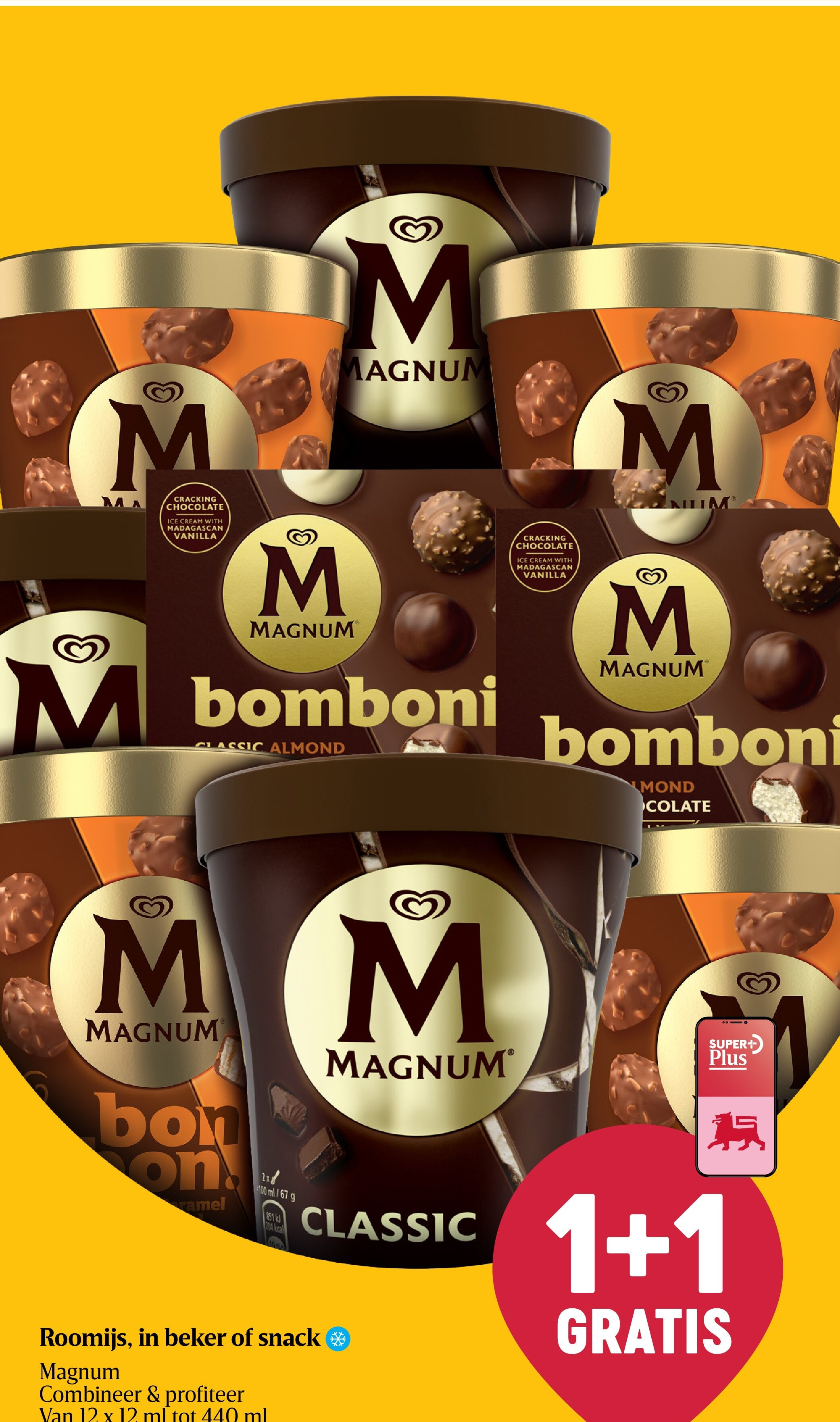 Roomijs, in beker of snack