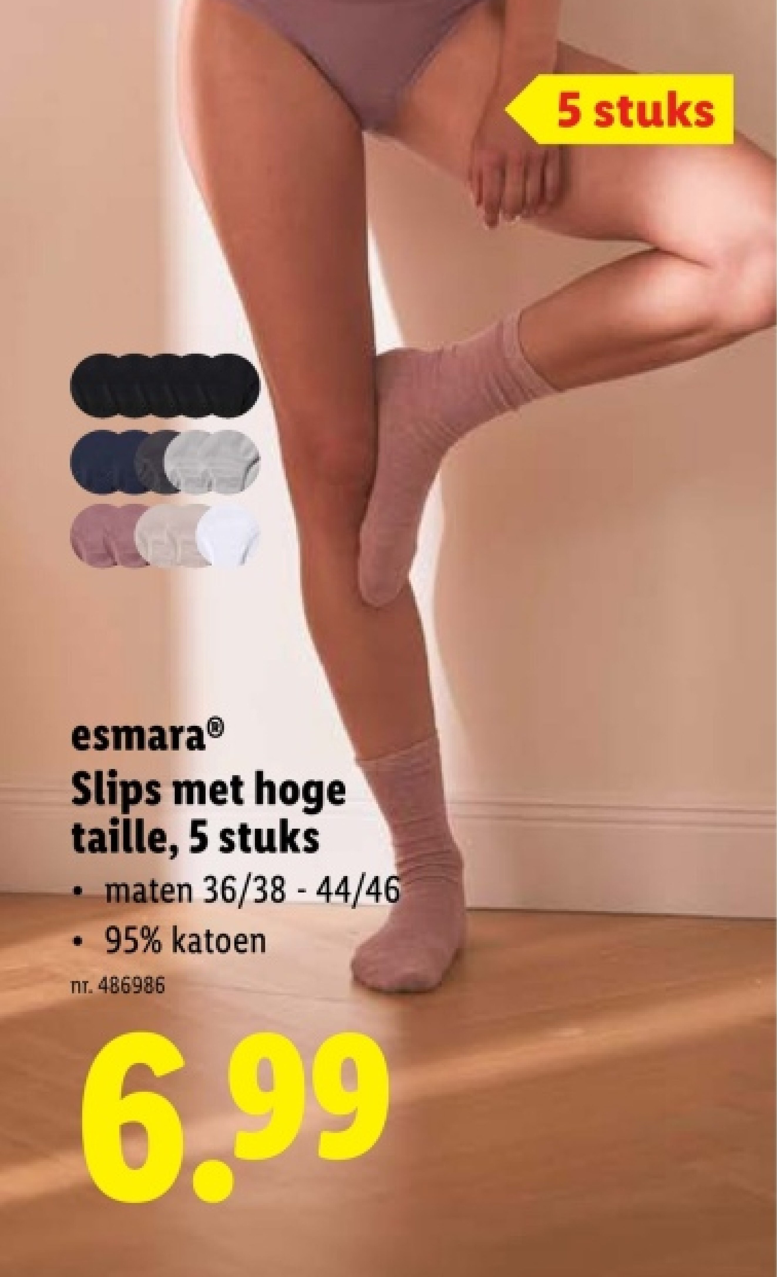 Slips met hoge taille, 5 stuks