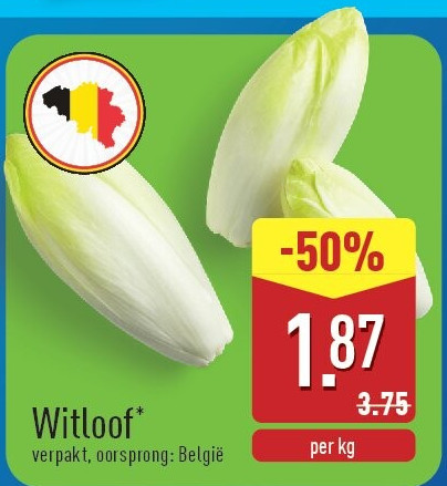 Witloof