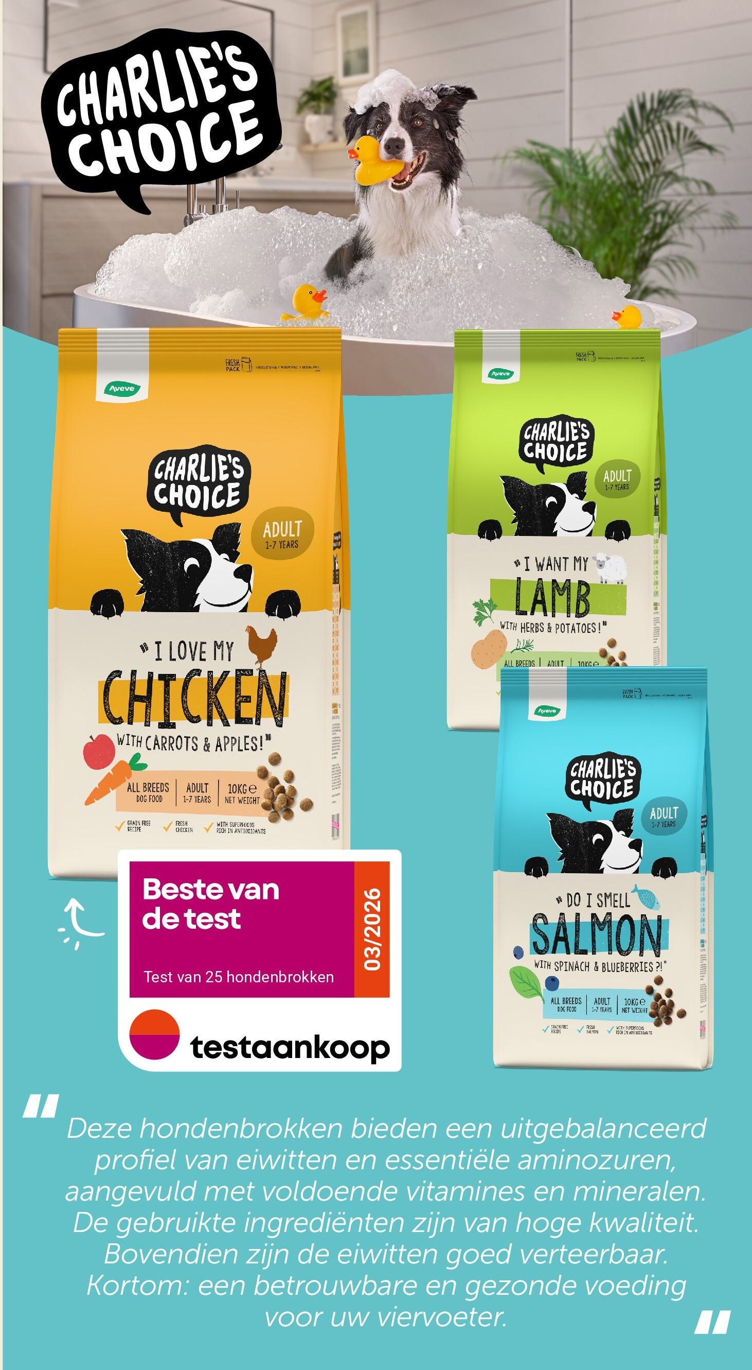 Droogvoer voor honden Adult