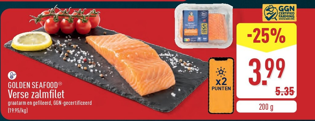 Verse zalmfilet