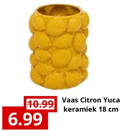 Vaas Citron Yuca keramiek 18 cm
