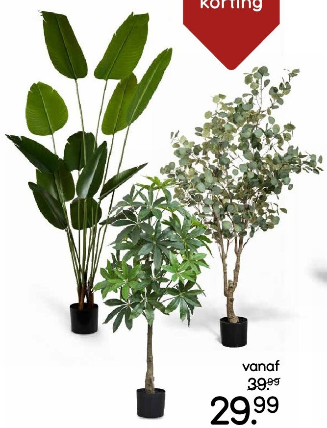 Alle grote kunstplanten