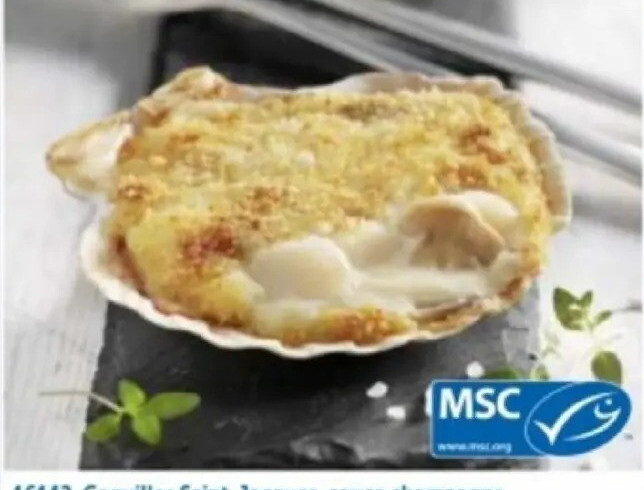 Coquilles Saint-Jacques, sauce champagne