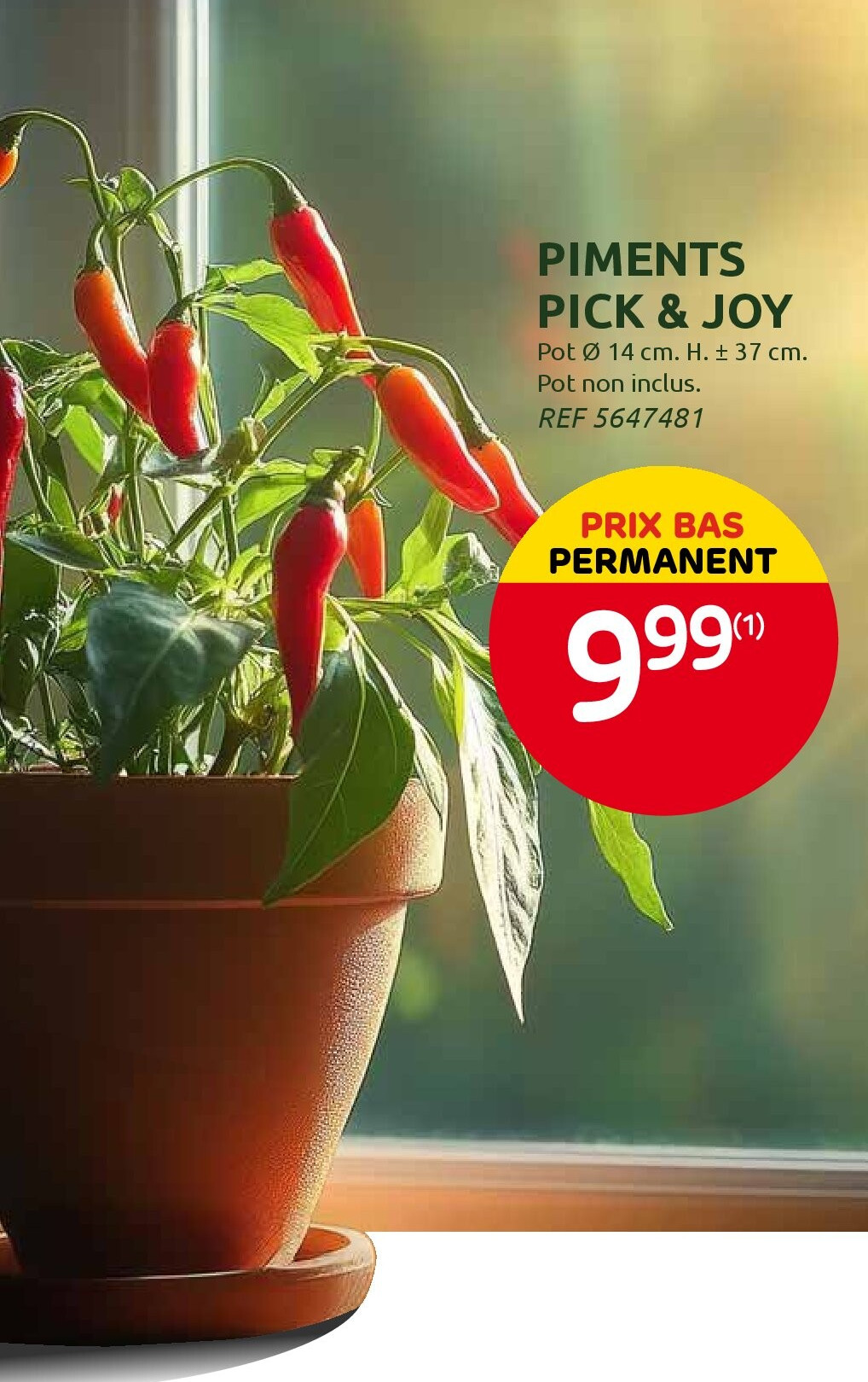 PIMENTS PICK & JOY