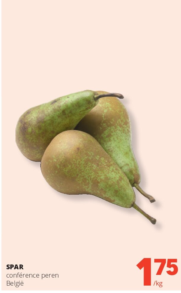 SPAR conférence peren België