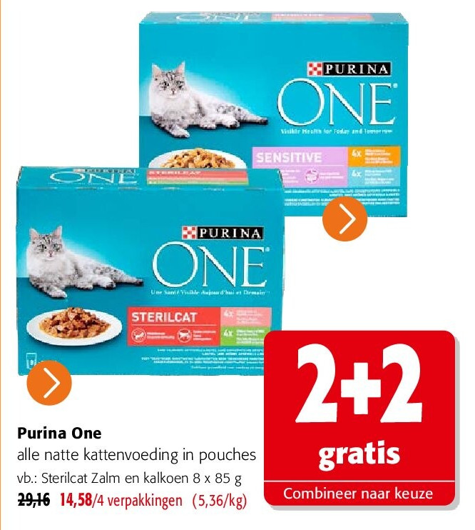 Purina One Sterilcat Zalm en kalkoen 8 x 85 g