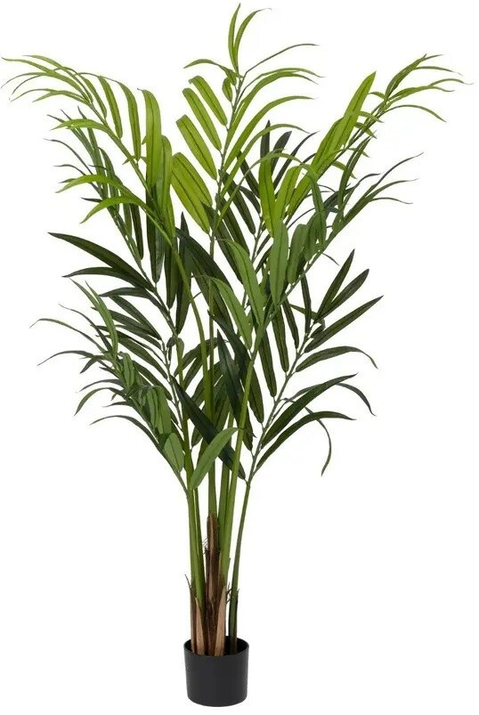 Kunstplant kentia palm, groen, hoogte 160 cm