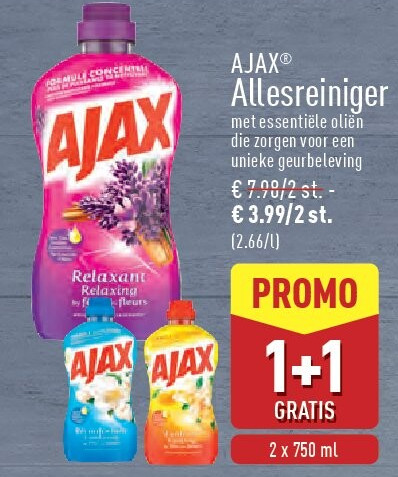 Allesreiniger