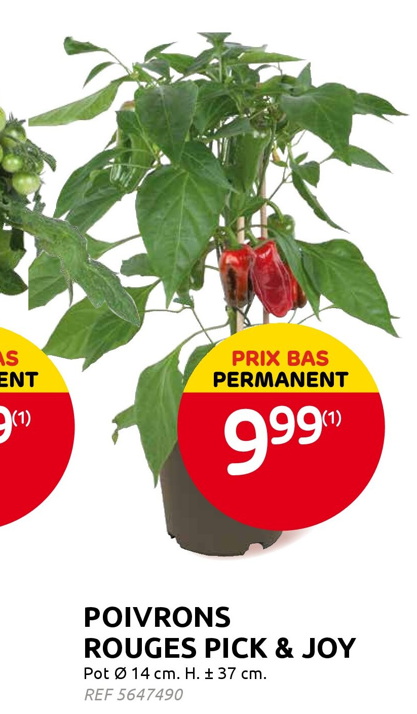 POIVRONS ROUGES PICK & JOY