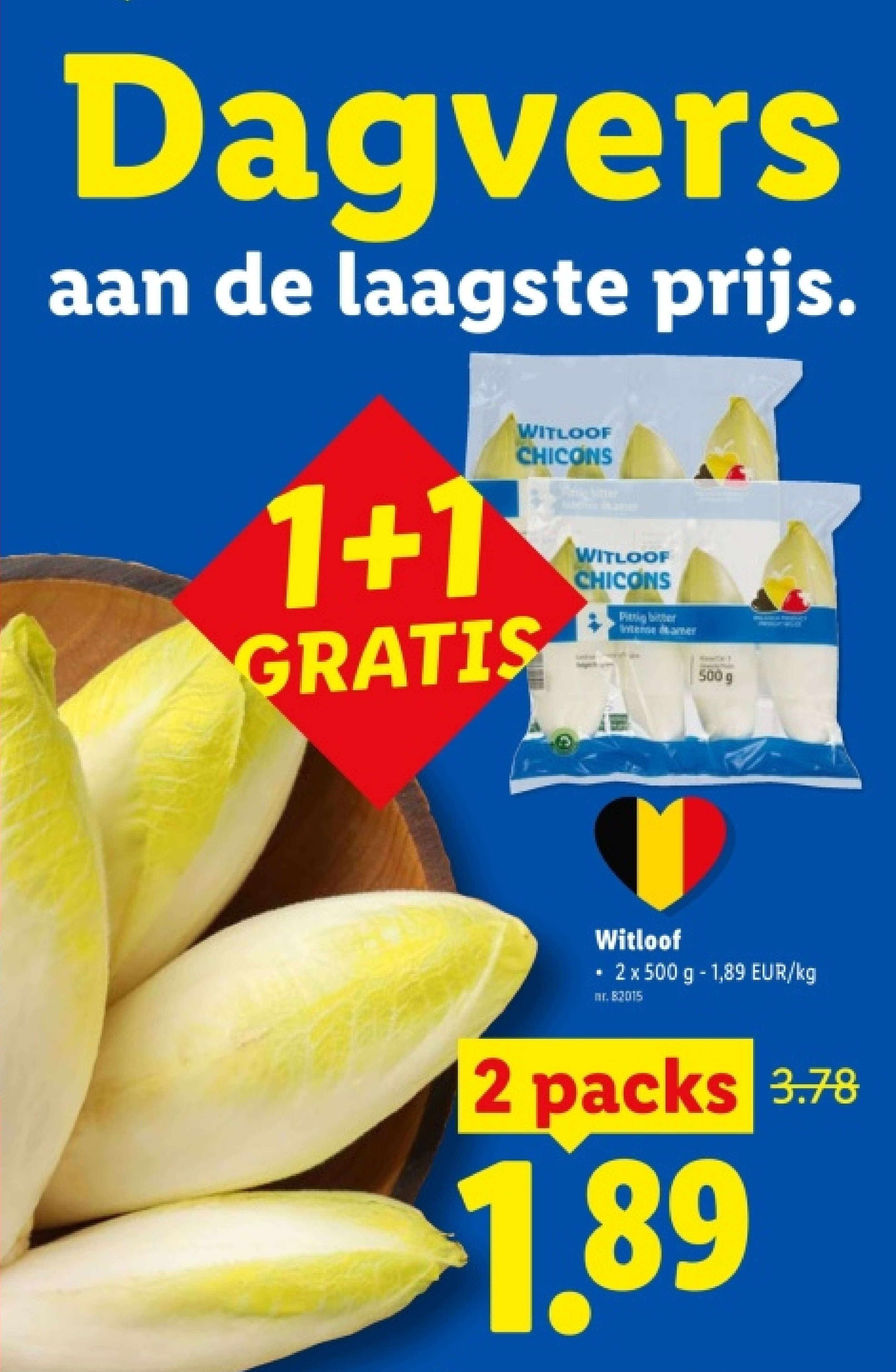 Witloof