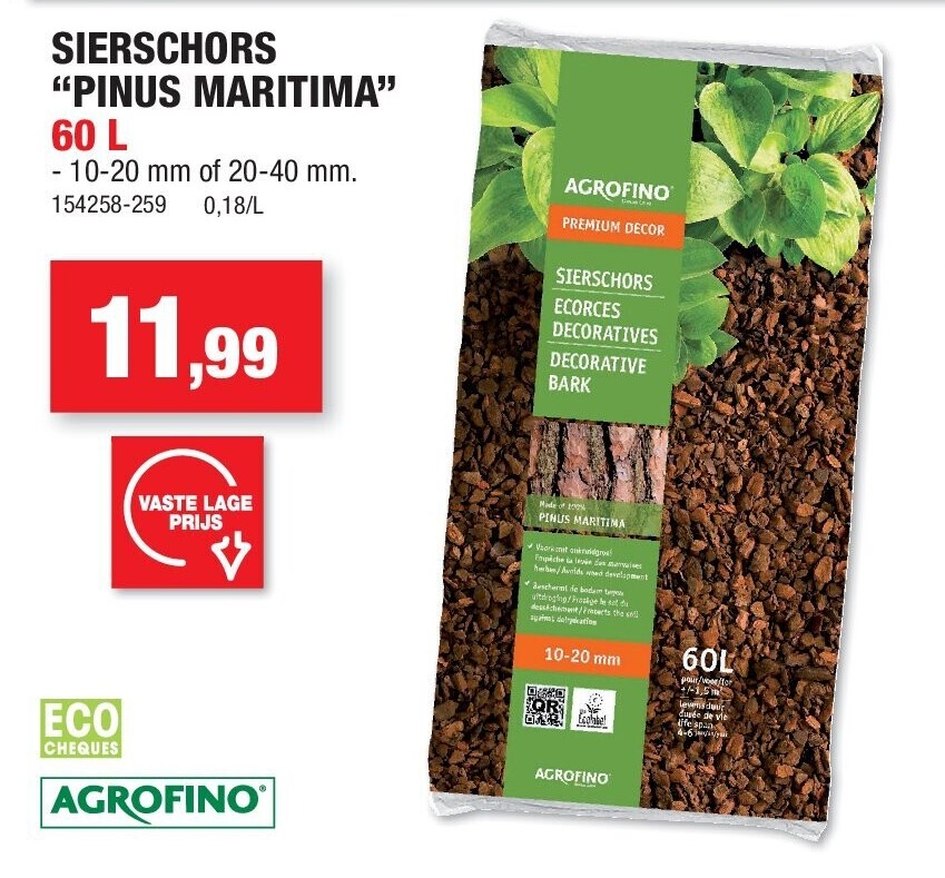 SIERSCHORS “PINUS MARITIMA”