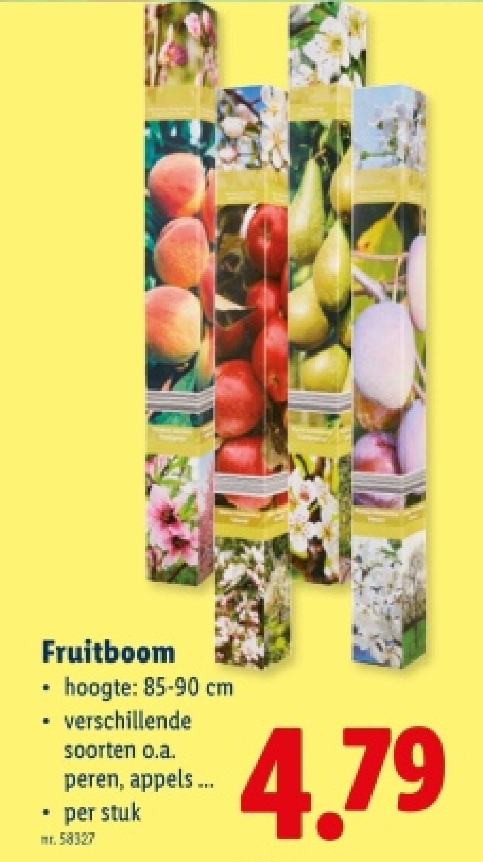 Fruitboom