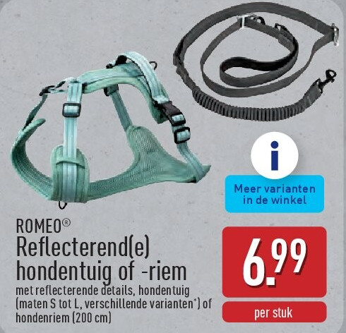 Reflecterend(e) hondentuig of -riem