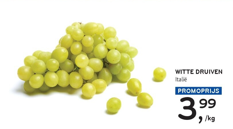 WITTE DRUIVEN Italië