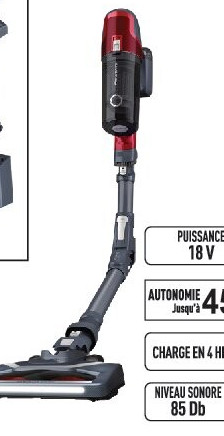 Aspirateur balai multifonction RH6876
