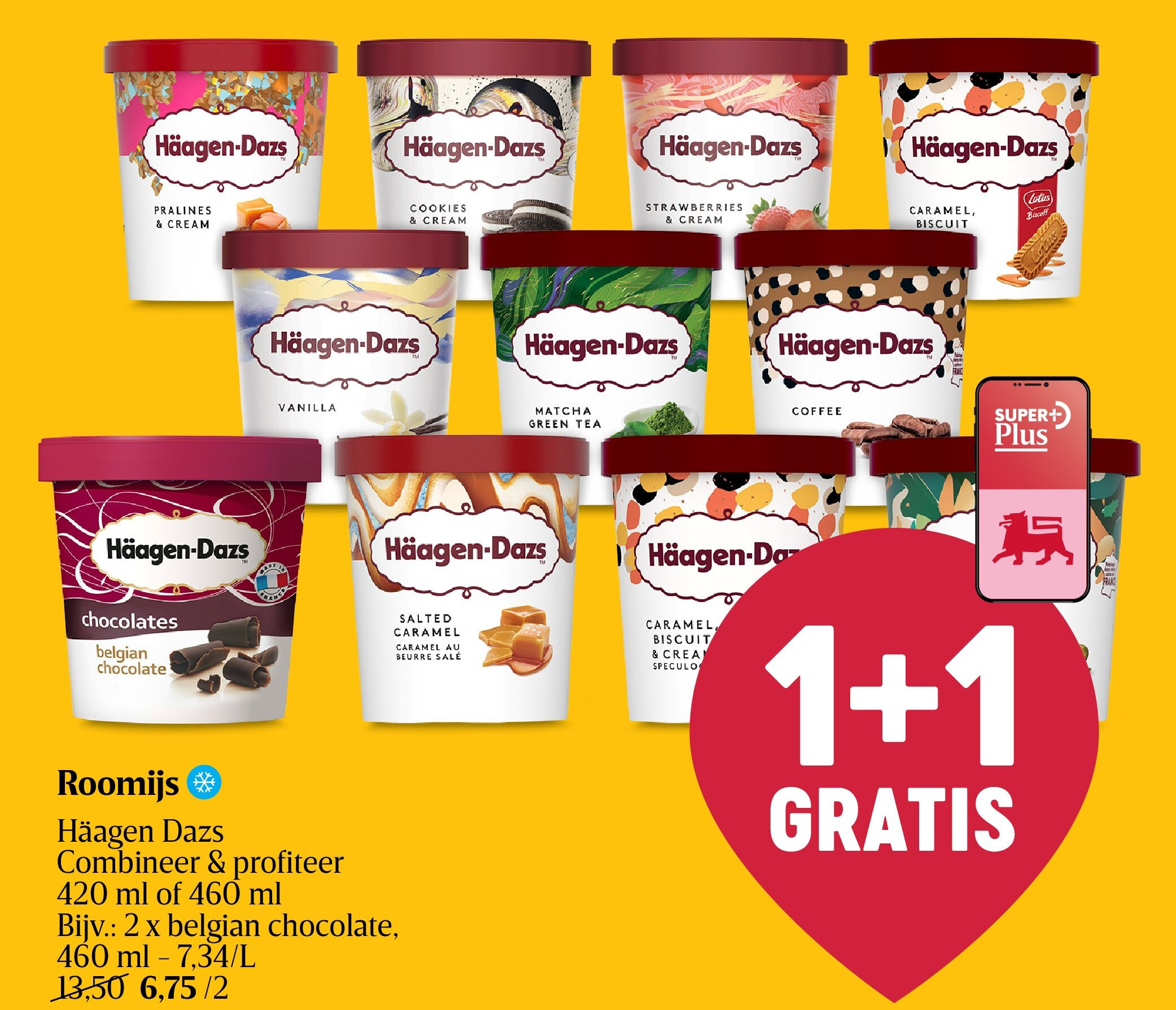 Roomijs