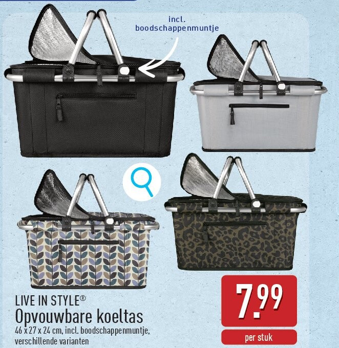 Opvouwbare koeltas