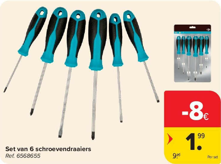 Set van 6 schroevendraaiers