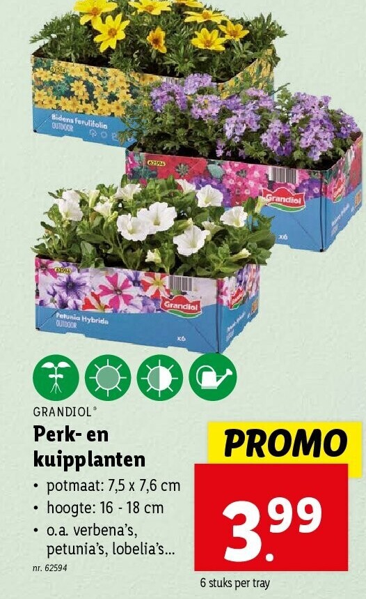 Perk- en kuipplanten