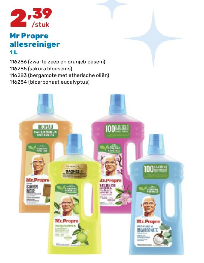 Mr Propre allesreiniger 1 L