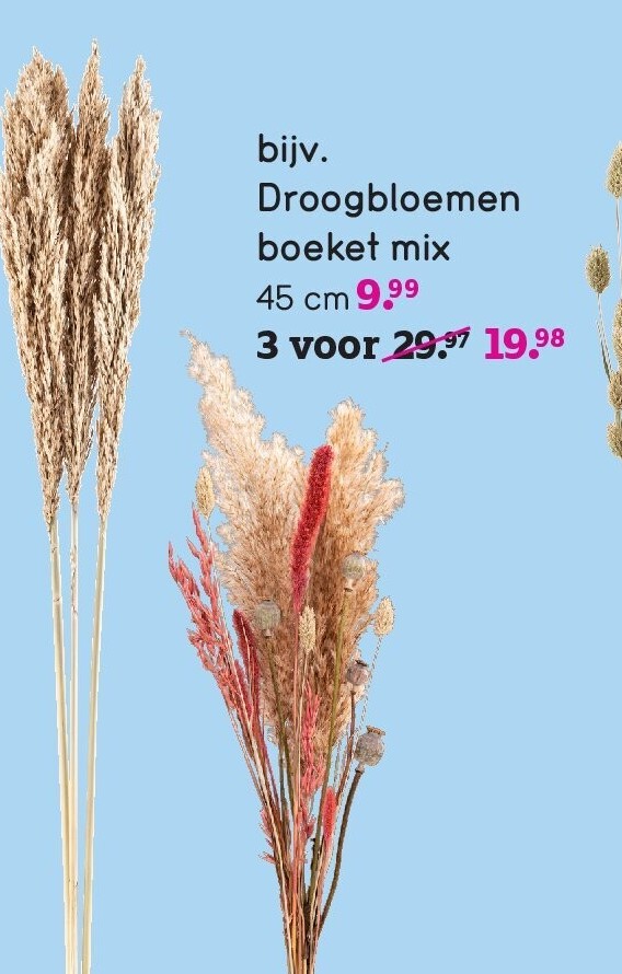 Droogbloemen boeket mix