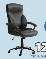 TAMDRUP chaise de bureau professionnelle