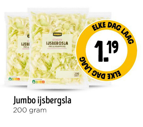 Jumbo ijsbergsla