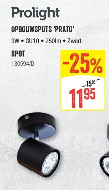 Spot