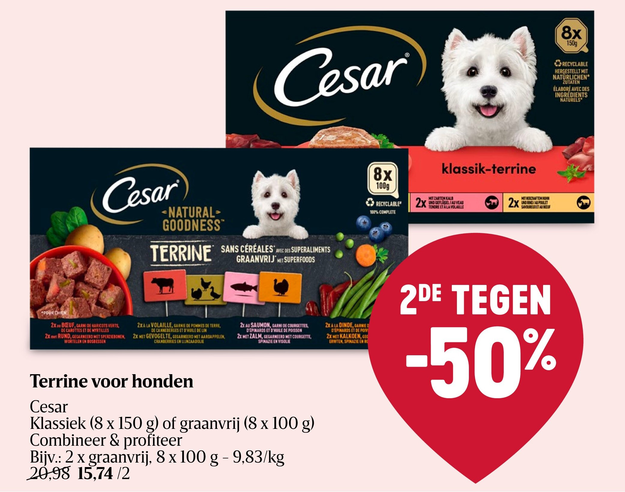 Terrine voor honden