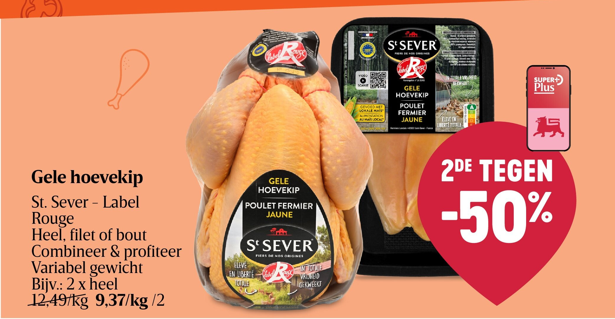 Gele hoevekip