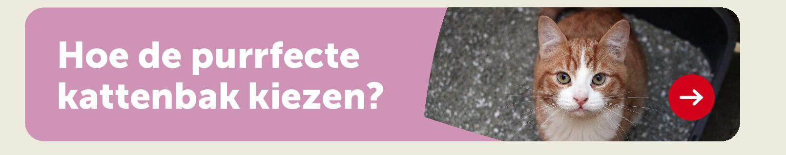 Hoe de purrfecte kattenbak kiezen?
