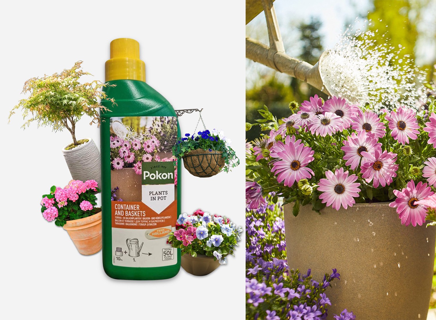 Pokon Terras & Balkonplanten Voeding - 500ml - Plantenvoeding - 10ml per 1L water