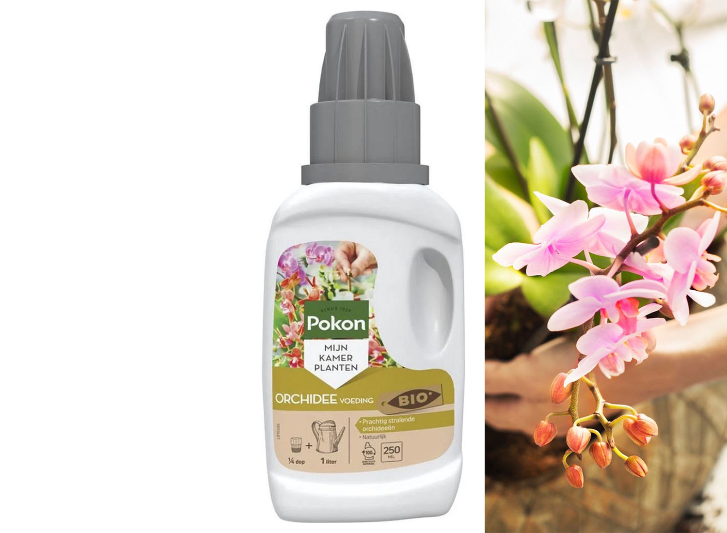 Pokon Orchidee Plantenvoeding - 250 ml - Met Plantaardige Biostimulant