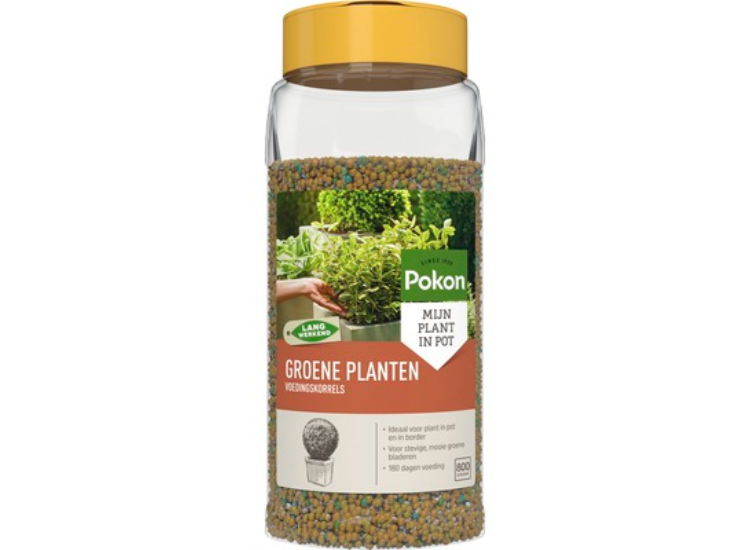 Pokon Voedingskorrels voor Groene Planten - 800gr - 180 dagen voeding - Plantenvoeding