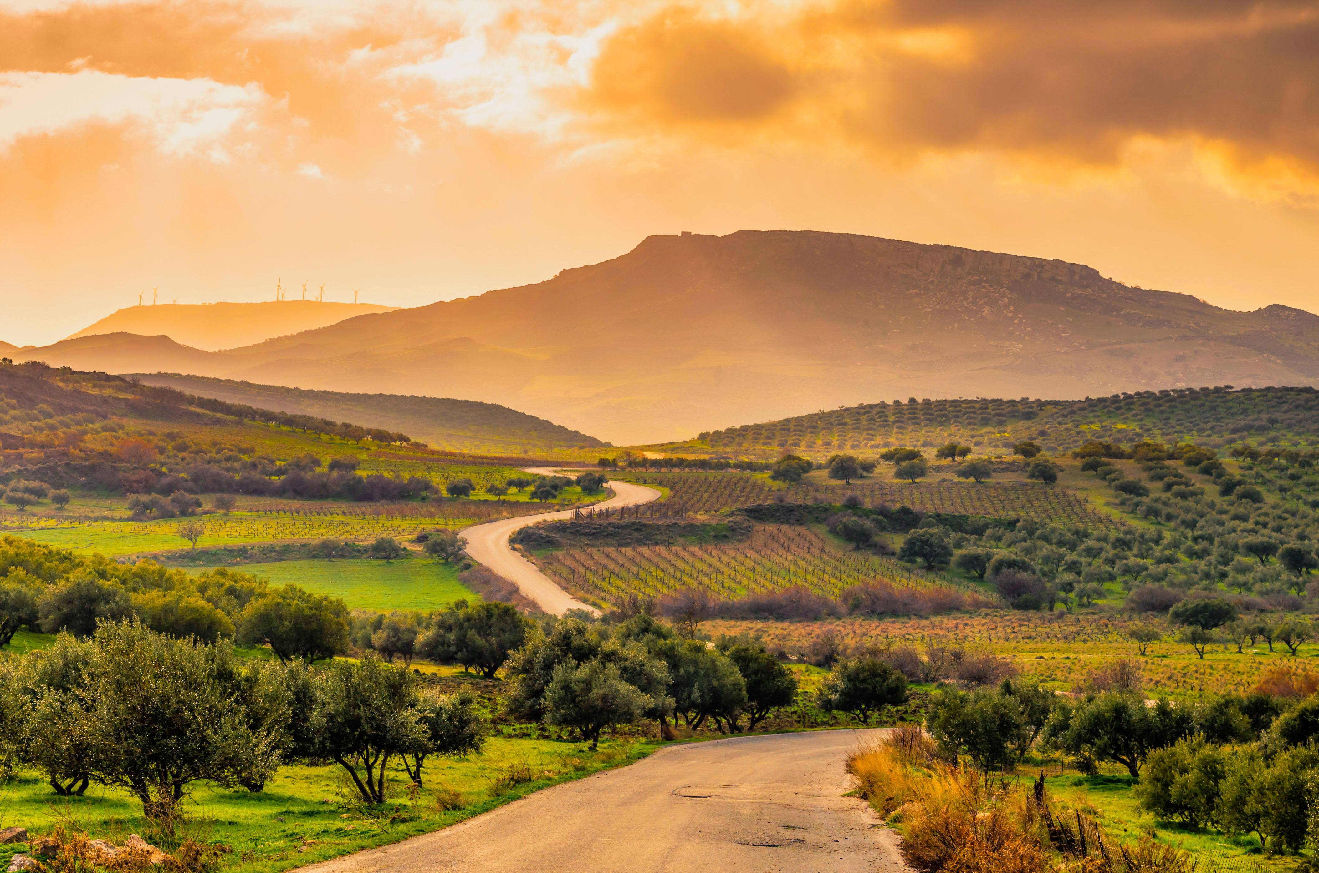 Prachtige roadtrip door Kreta met wijnproeverij en autoverhuur