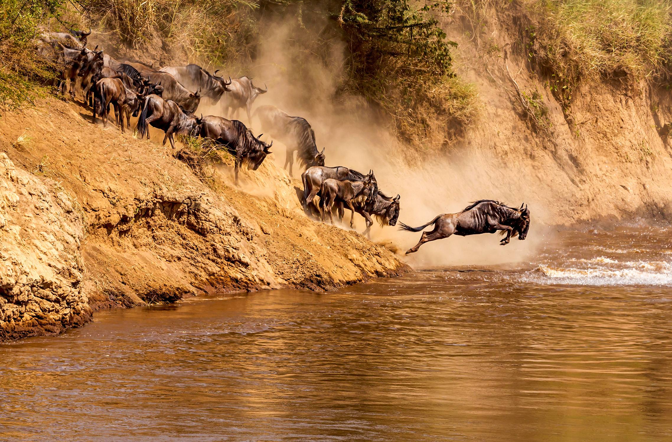 Bucketlistreis naar Tanzania & Serengeti met opt. gnoe migratie