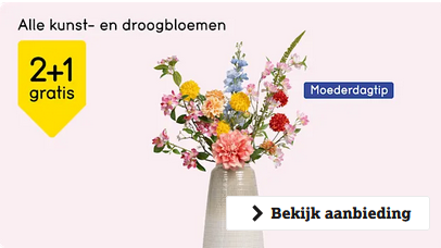 Alle kunstbloemen en droogbloemen 2+1 gratis bij Leenbakker