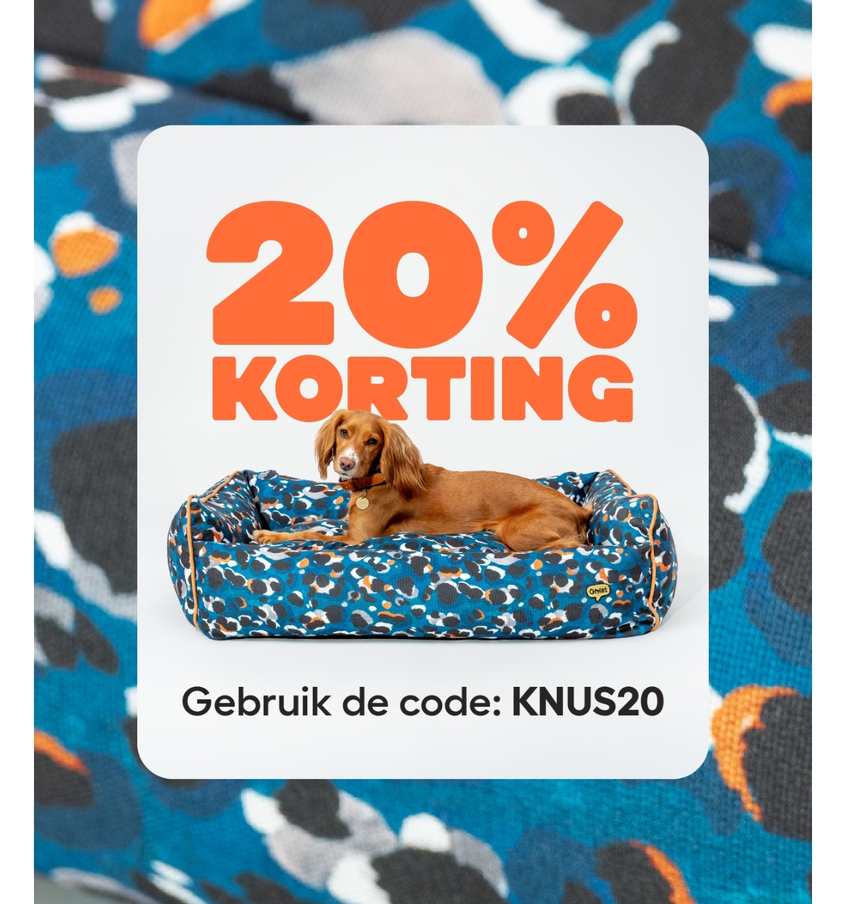 20% korting op hondenbed bij omlet
