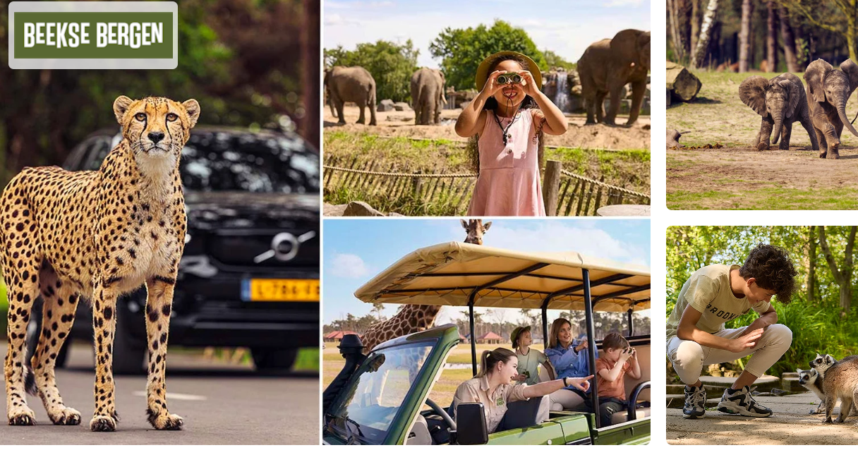 Entreeticket Safaripark Beekse Bergen voor slechts €20,30 ipv €29