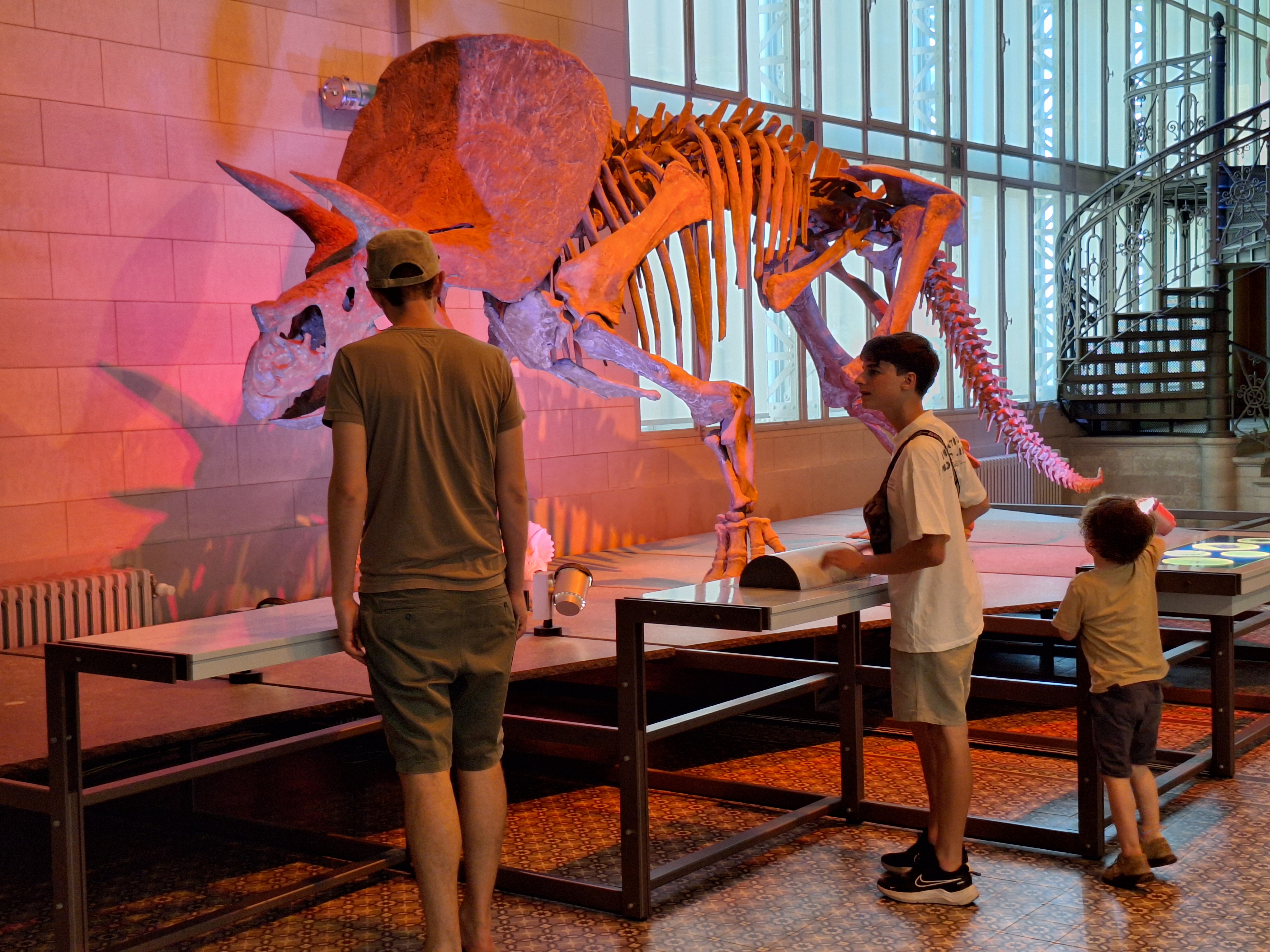 Gratis inkom natuurwetenschappen museum brussel + Discovery Ticket 50% korting op je treinreis H/T