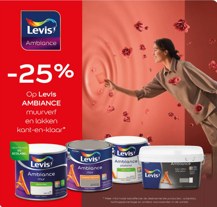 Verschillende Levis verf in promo bij Hubo