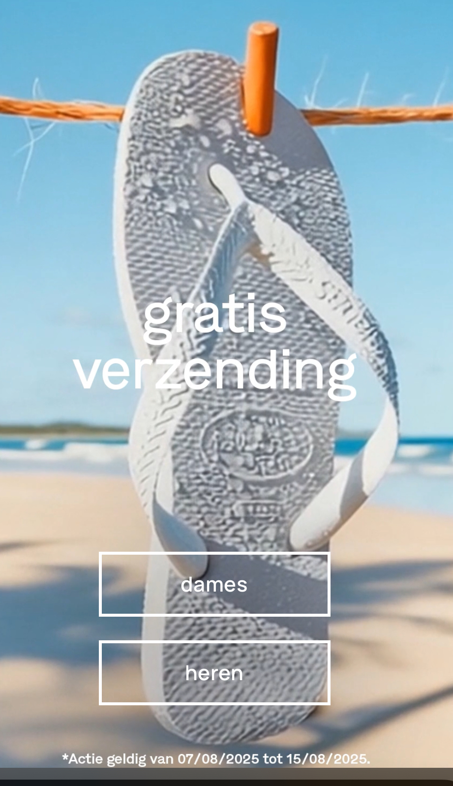 Havainas gratis verzending