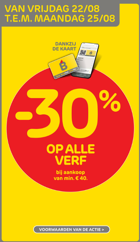 -30% op alle verf bij Brico